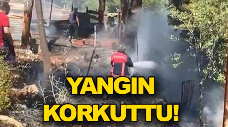 ÇAMLIYAYLA'DA ORMAN YANGINI