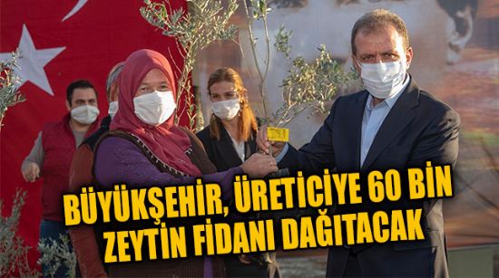 BÜYÜKŞEHİR, ÜRETİCİYE 60 BİN ZEYTİN FİDANI DAĞITACAK