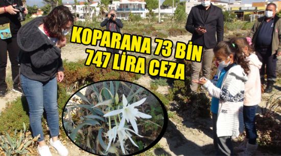 KOPARANA 73 BİN 747 LİRA CEZA