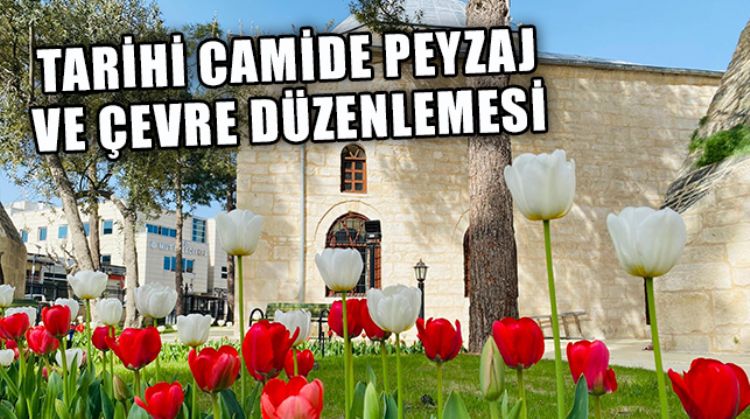 630 YILLIK LAAL PAŞA CAMİİ LALELERLE DONATILDI