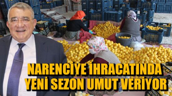 NARENCİYE İHRACATINDA YENİ SEZON UMUT VERİYOR