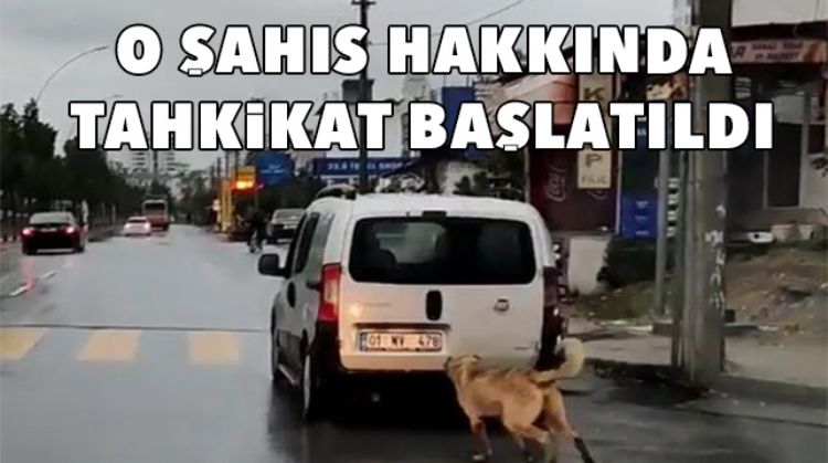 KÖPEĞE EZİYET EMİŞTİ, CEZASI BELLİ OLDU