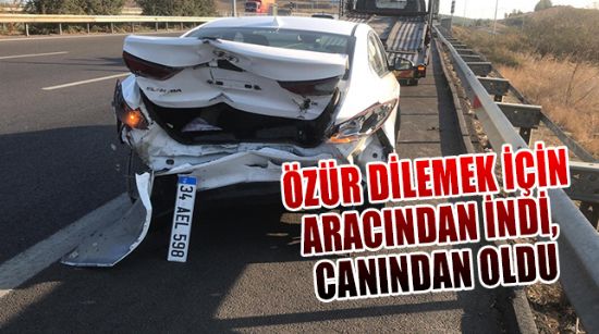 ÖZÜR DİLEMEK İÇİN ARACINDAN İNDİ, CANINDAN OLDU