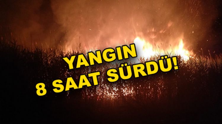 GÖKSU DELTASI’NDA YANGIN ÇIKTI!