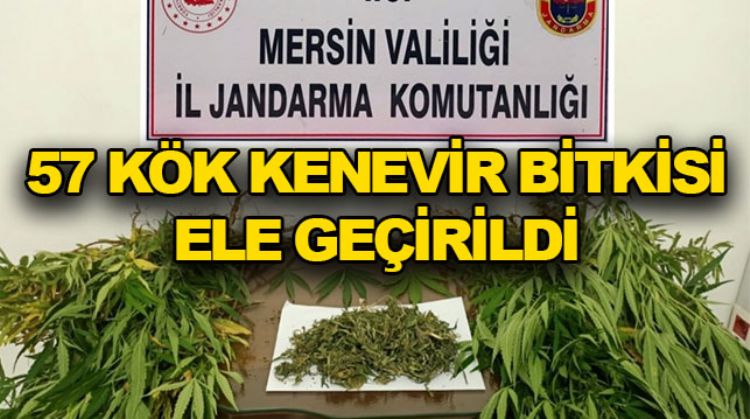 MERSİN’DE UYUŞTURUCU OPERASYONU