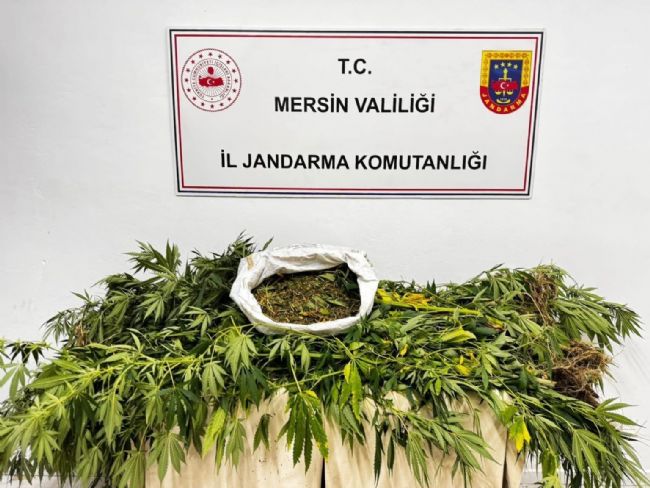 Mersin'de uyuşturucu operasyonu