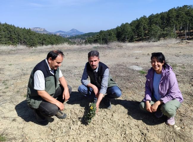 Kömür Ocağı Bal Ormanı, 'örnek bal ormanı' haline geldi