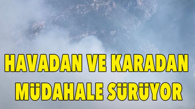 ORMAN YANGINI KONTROL ALTINA ALINMAYA ÇALIŞILIYOR