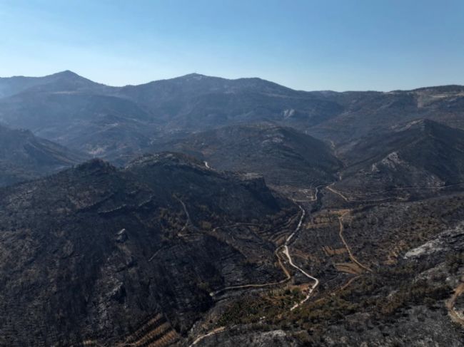 Mersin'de son 10 yılda 15 bin 95 hektar kül oldu