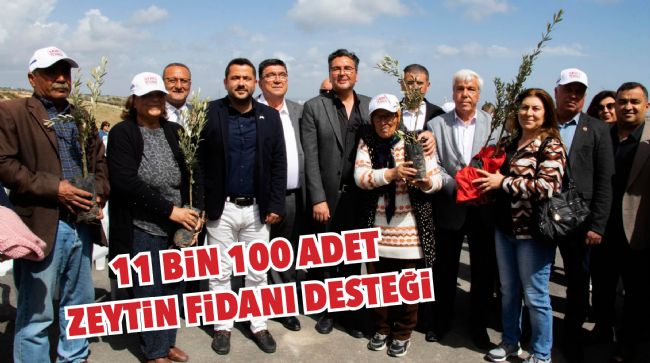 ÇİFTÇİYE ZEYTİN FİDANI DESTEĞİ SAĞLANDI
