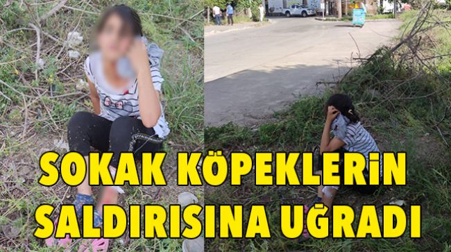 KÜÇÜK ÇCOUK YARALANDI