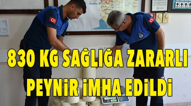 SAĞLIĞA ZARARLI PEYNİRLER ELE GEÇİRİLDİ
