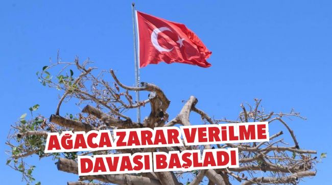MERSİN’DE AĞACA ZARA VERİLMESİ OLAYI İLE İLGİLİ DAVA BAŞLADI