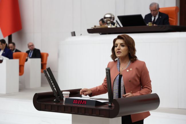 CHP’li Kış: “4 Milyon gencin geleceğiyle oynuyorlar!”