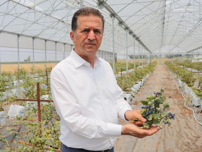 Tropikal Ürünler Ekonomiye Katkı Sağlıyor