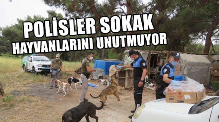 POLİS SOKAKTAKİ CANLARIMIZI UNUTMUYOR