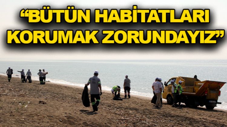 KENTTE SURİYE KAYNAKLI PETROL SIZINTISINA KARŞI TEMİZLİK ÇALIŞMALARI DEVAM EDİYOR