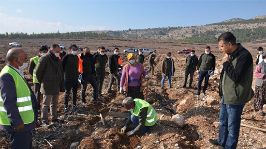 MUT’TA AĞAÇLANDIRMA SAHALARI İNCELENDİ