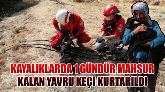KAYALIKLARDA 1 GÜNDÜR MAHSUR KALAN YAVRU KEÇİ KURTARILDI