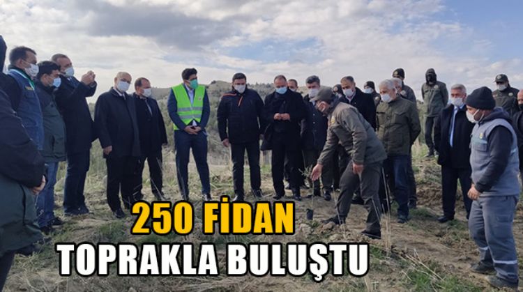 MUT’TA ORMAN HAFTASI NEDENİYLE FİDAN DİKİMİ GERÇEKLEŞTİ