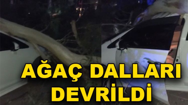 FAİCADAN DÖNÜLDÜ