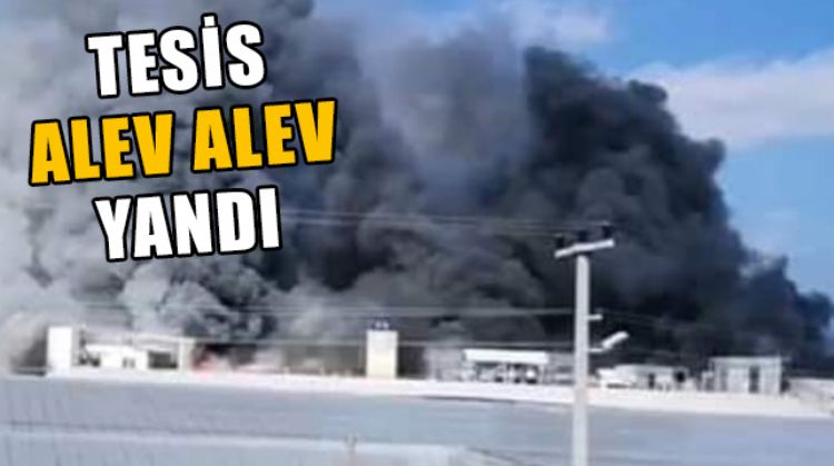 MERSİN'DE MUZ SARARTMA TESİSİNDE ÇIKAN YANGIN KORKUTTU