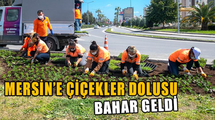 MERSİN’E 2 MİLYON MEVSİMLİK BİTKİ DİKİLECEK