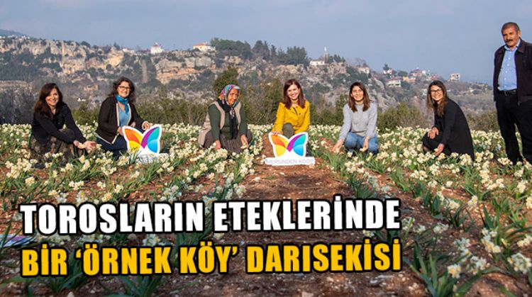 ‘DARISEKİSİ ÖRNEK KÖY’DE NERGİSLER ÇİÇEKLERİNİ VERDİ
