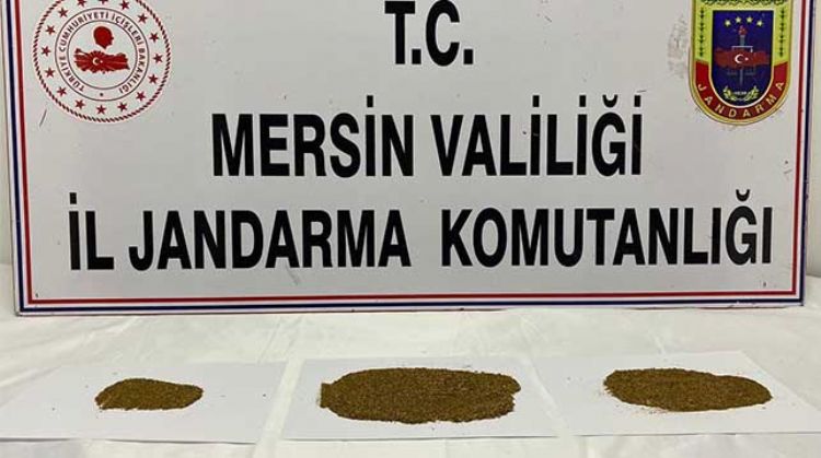 SİLİFKE'DE UYUŞTURUCU OPERASYONU