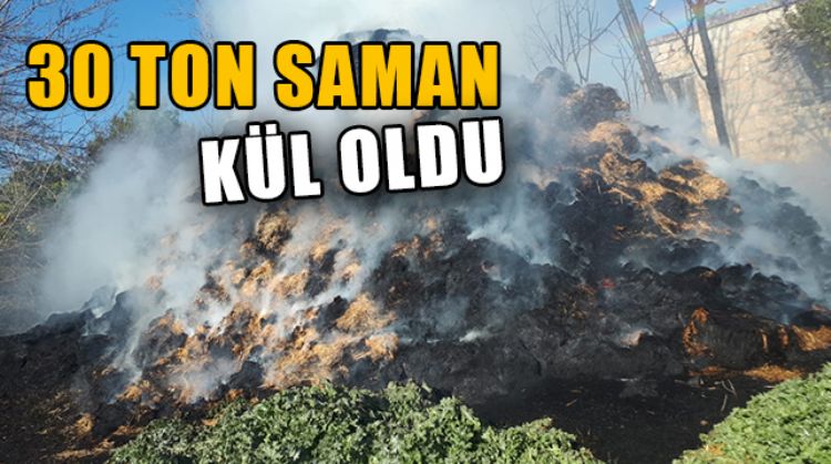 TARSUS’TA ÇIKAN YANGINDA İSTİFLENEN 30 TON SAMAN KÜLE DÖNDÜ