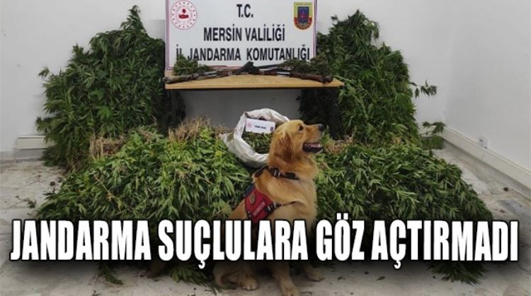 9 AYDA 10BİN’DEN FAZLA SUÇLUYU YAKALDILAR