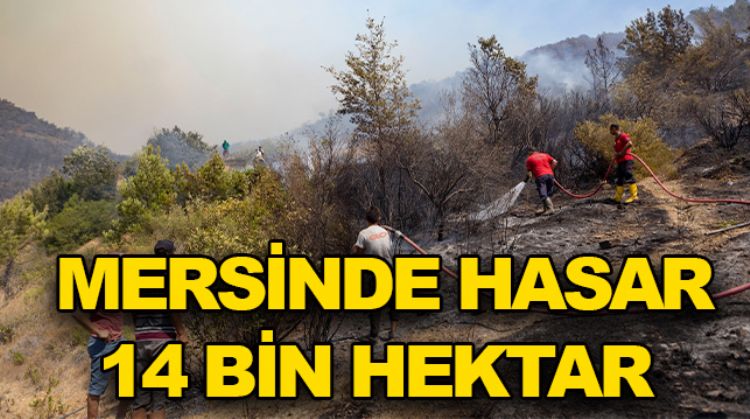 SİLİFKE VE AYDINCIK'TA HASAR BÜYÜK