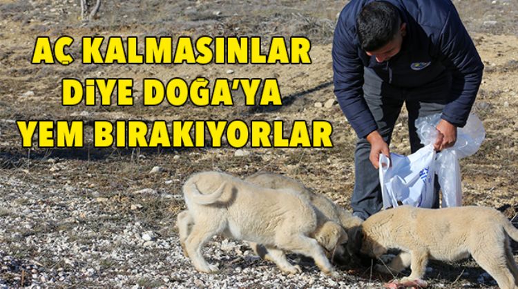 ZORLU KIŞ AYLARINDA YABANİ HAYVANLARI UNUTMADILAR