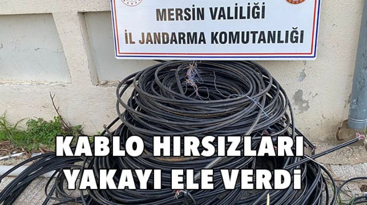 GÖZALTINA ALINDILAR