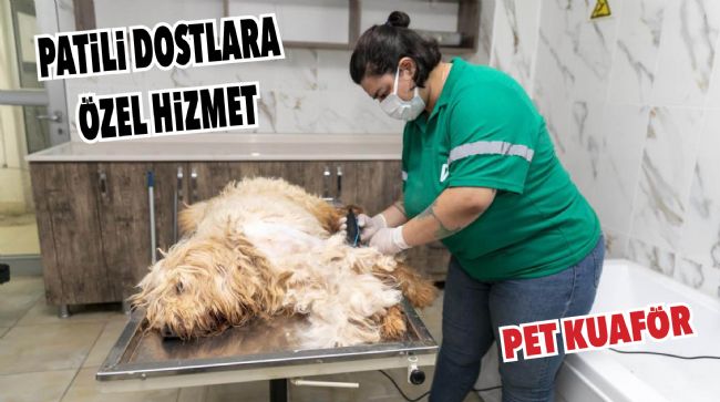 PATİLİ DOSTLARIN SAĞLIĞI VE KONFORU İÇİN ÖZEL HİZMET