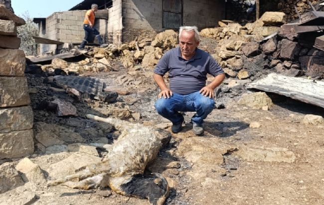 Silifke’deki yangında evler yandı, hayvanlar telef oldu