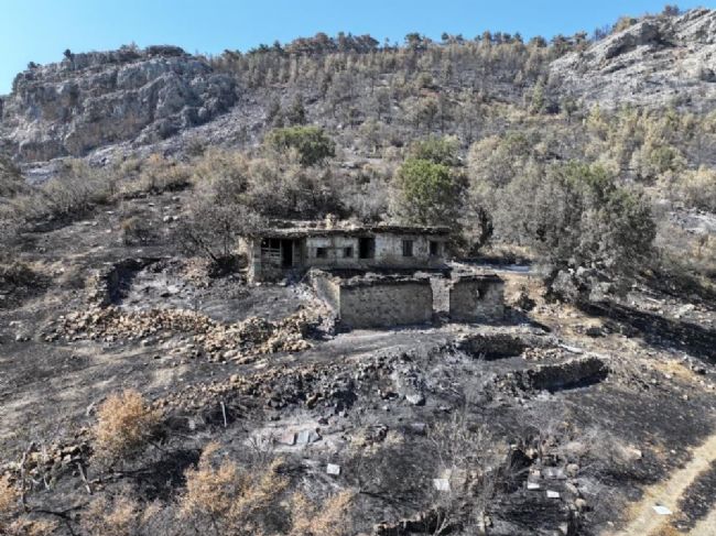 Silifke'deki orman yangınından geriye kalan acı manzara!