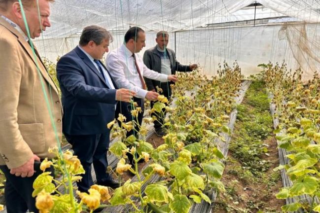 Tarımda İklim Değişikliği Tehdidi Büyüyor