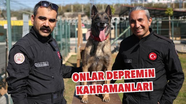 ARAMA KURTARMA KÖPEKLERİ DEPREMİN KAHRAMANLARI OLDU