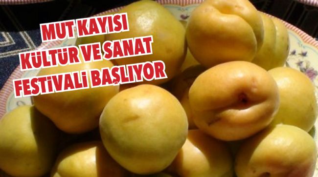 FESTİVAL 2 HAZİRAN’DA BAŞLIYOR