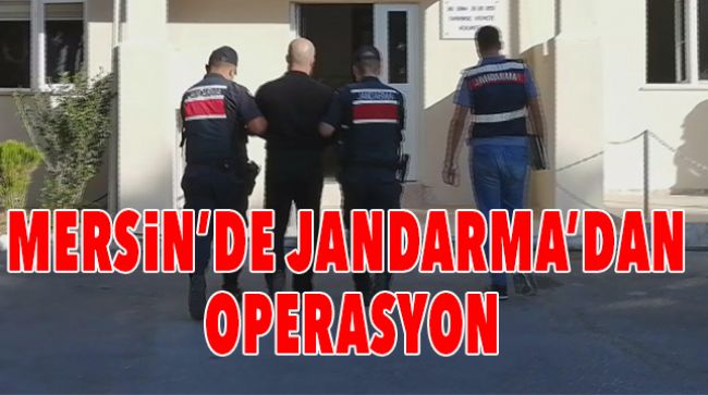 MERSİN’DE BALİNA KUSMUĞU VE TARİHİ ESER ELE GEÇİRİLDİ