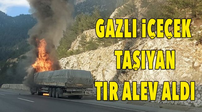 SEYİR HALİNDEYKEN ALEV ALDI