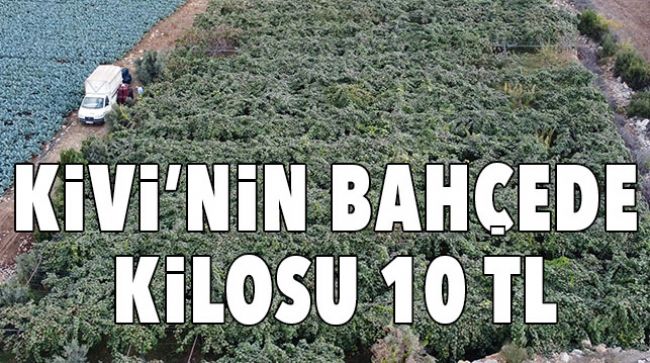MERSİN’DE ÜRETİLİYOR, YURT DIŞINA İHRAÇ EDİLİYOR