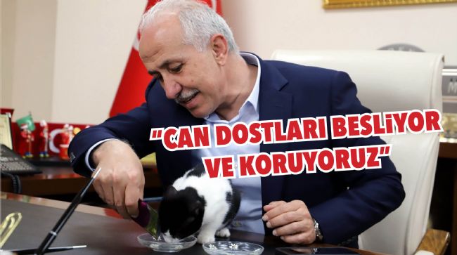 AKDENİZ'DE 1 YILDA BİNİ AŞKIN HAYVAN KISIRLAŞTIRILDI