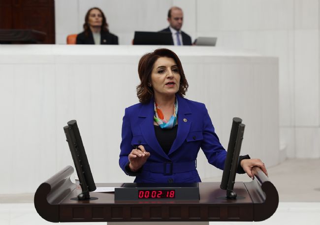 Gülcan Kış: “Hükümet Gerçekleri Görmezden Geliyor”