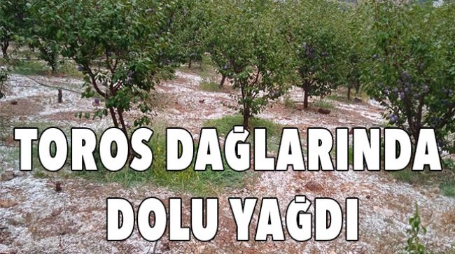 YÜKSEK KESİMLERDE YAĞIŞ ETKİLİ OLDU