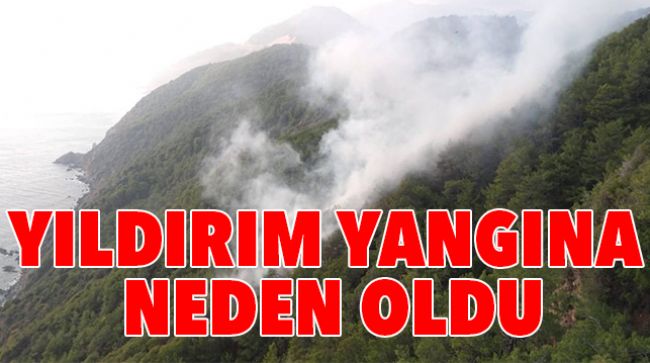 YILDIRIM DÜŞEN ORMANLIK ALANDA YANGIN ÇIKTI