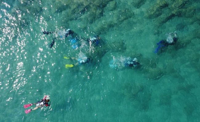 Akdeniz’in derinliklerine bilimsel yolculuk!