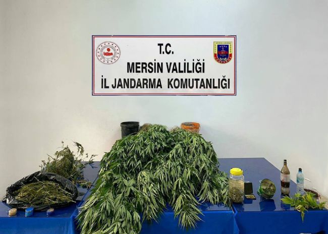 MERSİN'DE 5 KİLO 620 GRAM ESRAR İLE 578 KÖK HİNT KENEVİRİ ELE GEÇİRİLDİ