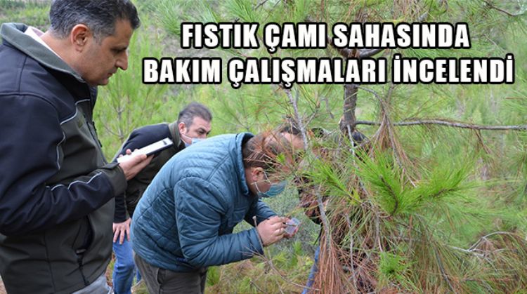 MERSİN ORMAN BÖLGE MÜDÜRÜ KENAN AKDUMAN ERDEMLİ ORMANCILIK FAALİYETLERİNİ İNCELEDİ